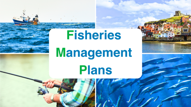 Collage of four images with Fisheries Management Plans written centrally. The images are a fishing boat at sea, a man using a fishing rod, a coastal village and fish in the sea.