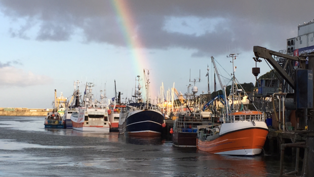 A vibrant rainbow arches over Newlyn harbour filled with fishing boats.