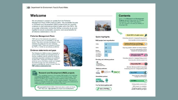 Brochure displayed prominently on a vibrant green background.