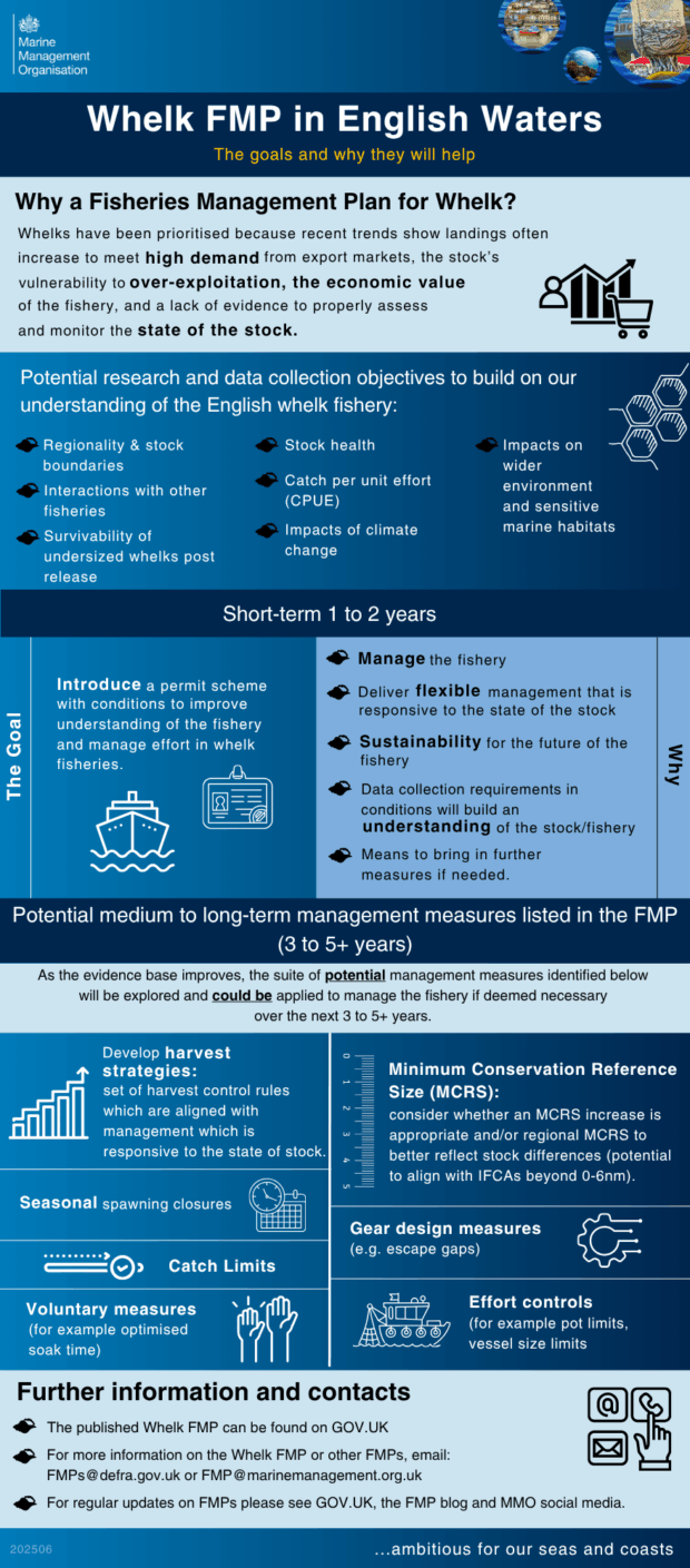 An informative poster titled "Why a Fisheries Management Plan for Whelk?" It includes sections on the goals of the management plan, the importance of sustainable fishery practices, the management plan contents like a summary, objectives, and measures listed in the plan. Icons visualizing fish, gear, and environmental interactions enhance understanding. Contact information and further resources are available at the bottom.
