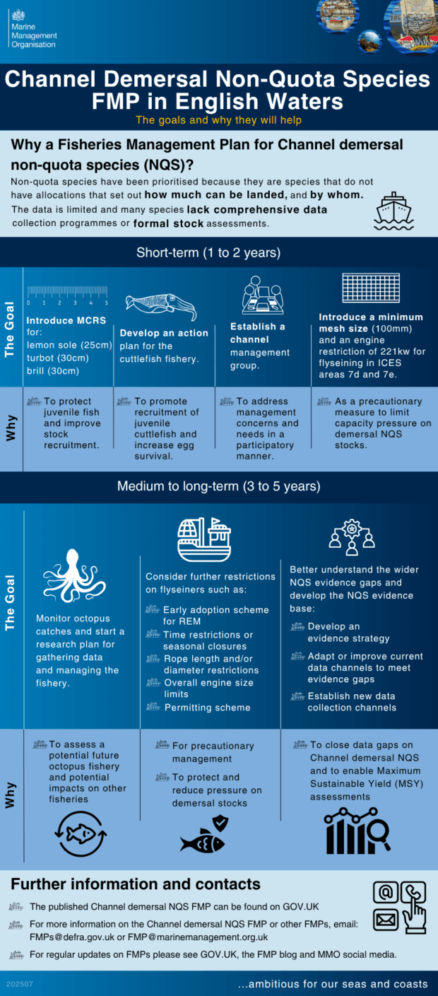 Infographic titled "Channel Demersal Non-Quota Species FMP in English Waters" outlines planned strategies and timelines ranging from short-term (1 to 2 years) to long-term (3 to 5 years) for managing non-quota fish species. The infographic includes goals such as introducing new reporting requirements, developing scientific assessments, establishing a management framework, and introducing preliminary fishery and ecosystem models, featuring icons and a three-column layout for short, medium, and long-term goals. Additional details and resources are provided for further information.