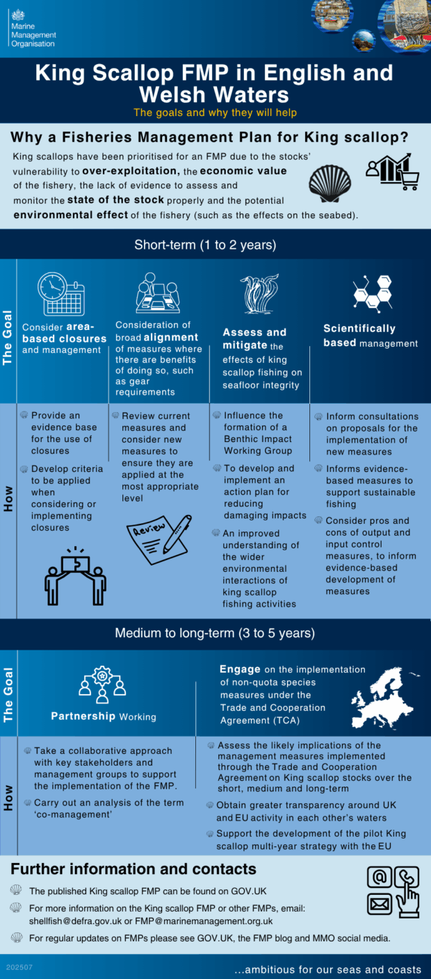Infographic detailing the Fisheries Management Plan (FMP) for King Scallop in Welsh Waters by the Welsh government. Sections include the economic importance of scallops, environmental impact, short-term and potential management measures such as closed areas, rotational fishing, and scientific assessments. Further information on ongoing monitoring and contacts for more details provided at the end.