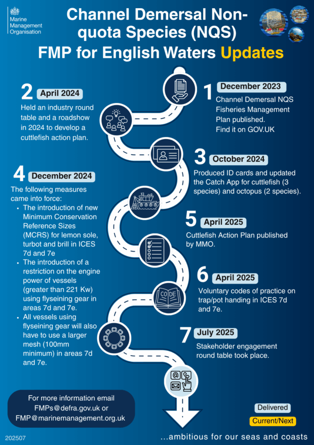 Promotional poster for Non-quota species (NQS) for English Waters. It includes timelines for industry roadshows, resource channel development, and policy updates from April 2022 to July 2025.