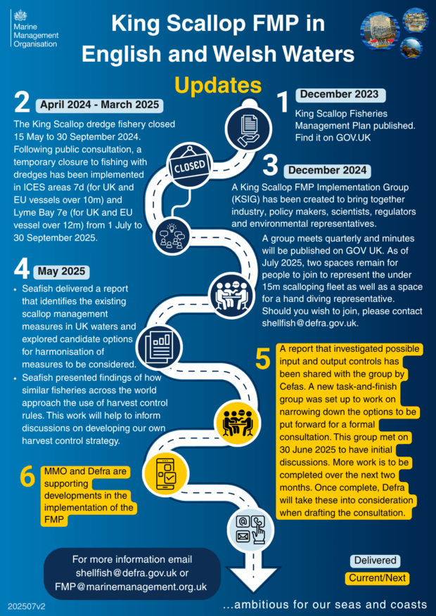 Infographic titled 'Updates,' detailing topic updates from December 2023 to June 2025. Sections include focus on Financial Plans update in March, Seafish findings in May, and discussions on developments surrounding strategy in July and August. Footer includes contact information and a prompt for feedback or further inquiries.