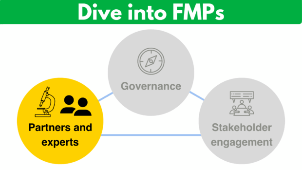 Dive into FMPs banner at the top, followed by a diagram with three interconnected circles labeled 'Partners and experts,' 'Governance,' and 'Stakeholder engagement.' Each circle has an icon representing its label: a microscope with people for 'Partners and experts,' a governance emblem for 'Governance,' and a network of lines and nodes for 'Stakeholder engagement.'