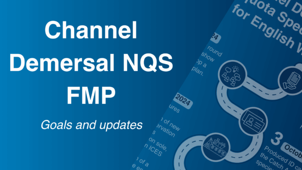 Presentation slide titled 'Channel Demersal NQS FMP' with text highlighting goals and updates, featuring a flowchart on planning processes on a blue background.