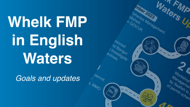 Promotional graphic for 'Whelk FMP in English Waters' discussing goals and updates with diagrams and text overlays.