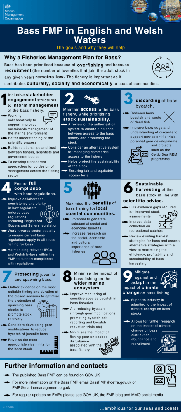 Infographic titled "Why a Fisheries Management Plan for Bass and Welsh Waters" explaining the benefits and considerations of bass management in Welsh waters. Features bullet points, icons representing various ecological and administrative aspects, and contact information for further inquiries.