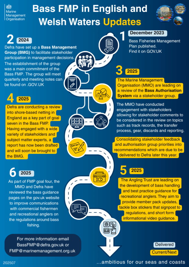 Infographic explaining the updates for Bass FMP in English and Welsh Waters. The infographic outlines six focus areas: establishment of a BMG, conducting a review in 2025, stakeholder feedback, evaluation of recommendations, consideration of specific topics, and a plan for forthcoming years with scheduled meetings. Includes contact information for further inquiries.