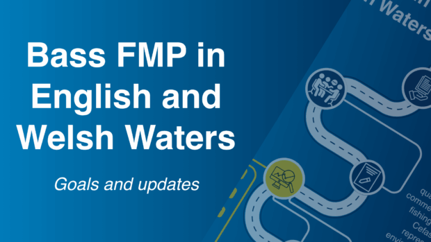 Graphic titled "Bass FMP in English and Welsh Waters" detailing the goals and updates of the fisheries management plan, featuring icons and lines connecting various elements on a blue background.