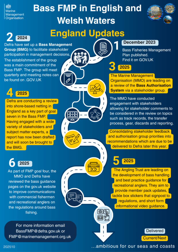 Infographic titled 'Bass FMP in English and Welsh Waters'. Each step is detailed with specific tasks and goals for sustainable fisheries and stakeholder engagement in region-specific water management.
