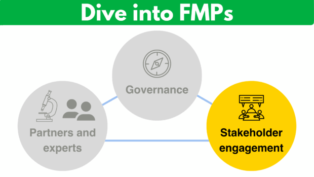 Dive into FMPs banner with three connected icons labelled 'Partners and experts', 'Governance', and 'Stakeholder engagement', each with relevant symbols.