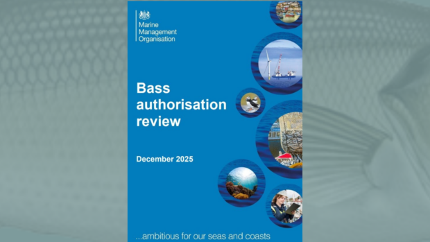Bass authorisation review displayed prominently on a blue background.