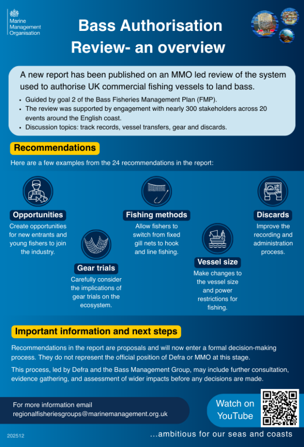 Overview of bass authorisation review process, highlighting key steps and considerations for effective evaluation.