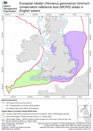 Map showing areas for the lobster minimum reference sizes changes in 2026