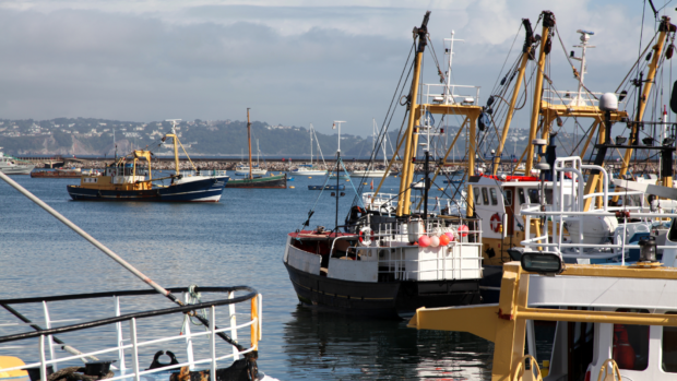 Fishing trawlers of the Brixham fleet in harbour