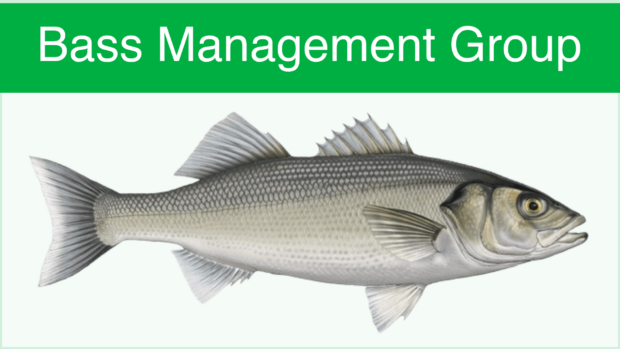 Bass Management Group