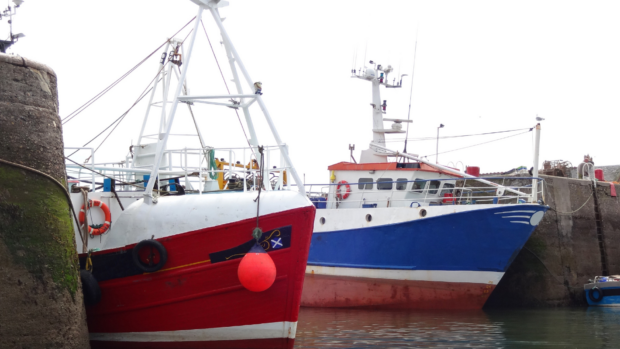 Port trawlers in Port Seaton Harbour