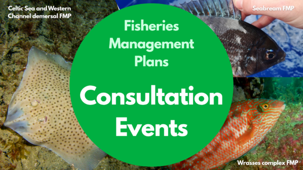 A collage of fish images with a central green circle containing the text: "Fisheries Management Plans Consultation Events". Fish labels include: "Celtic Sea and Western Channel demersal FMP", "Seabream FMP", and "Wrasses complex FMP".